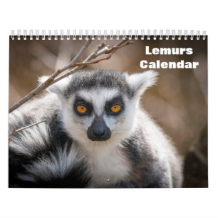 Lemurs 2025 calendar