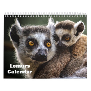 Lemurs 2025 calendar