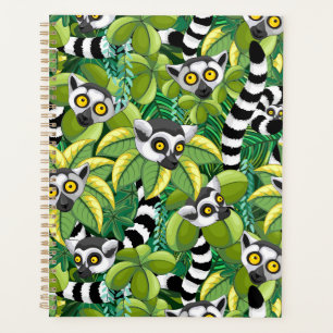 Lemurs of Madagascar in Exotic Jungle