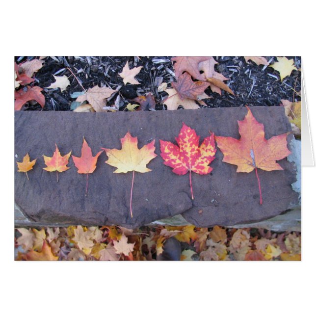 L'enfance est passager (Devant horizontal)