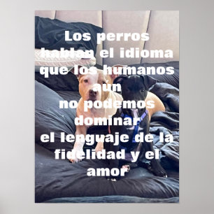 lenguaje animal poster