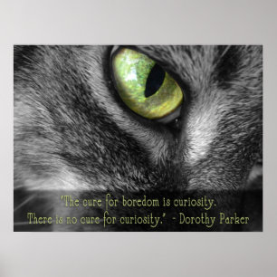L'ennui - Curiosité, affiche de Dorothy Parker