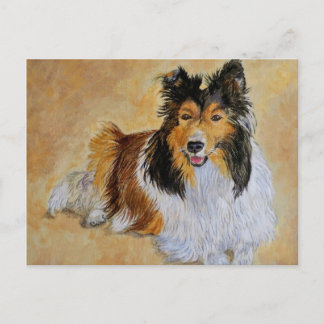 Lenny the Sheltie Postcard