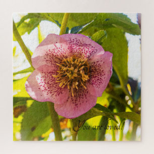 Lenten Rose. Helleborus. You are loved!  Jigsaw Puzzle