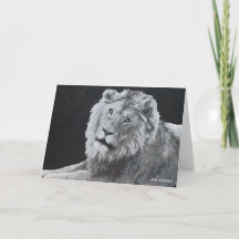 Leo, African Lion, Animal Folded Cards