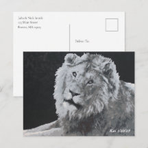 Leo, African Lion, Animal