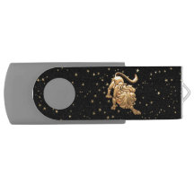Leo Astrology 2 Flash Drive
