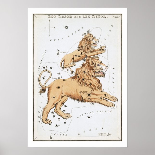 Leo Astrology Zodiac Poster (Front)