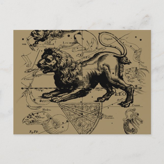 Leo Constellation Carte Hevelius vers 1690 (Devant)