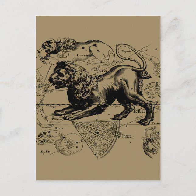 Leo Constellation Carte Hevelius vers 1690 (Devant)