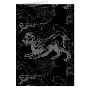 Leo Constellation Hevelius 1690 Decor