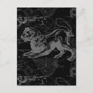 Leo Constellation Hevelius 1690 Decor Postcard