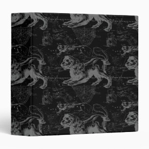 Leo Constellation Hevelius 1690 July23 - August 22 Binder