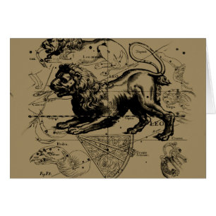 Leo Constellation Map Hevelius circa 1690