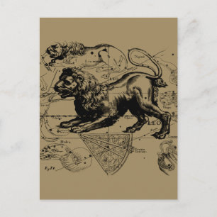 Leo Constellation Map Hevelius circa 1690 Postcard