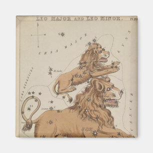 Leo Magnet