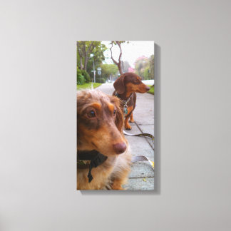 leo + polie canvas print
