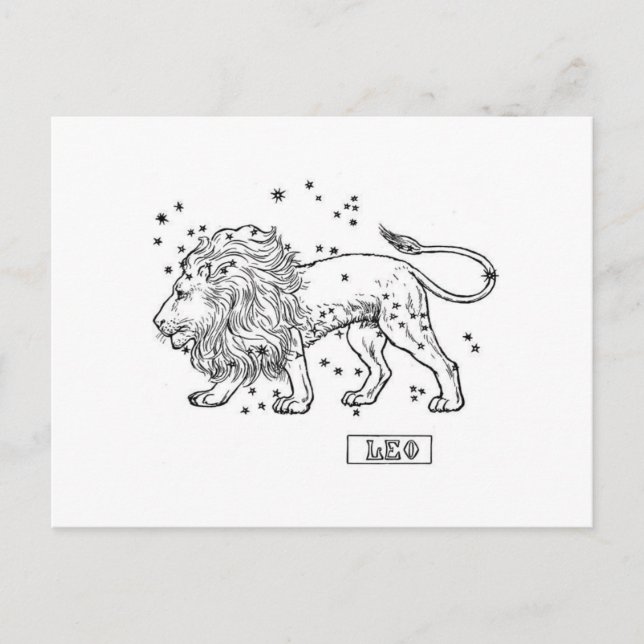 Leo Postcard (Front)