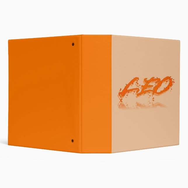 Leo Reflection Binder (Background)