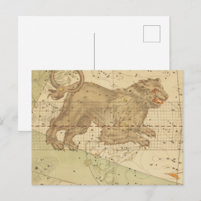  Leo star sign restored antique map Postcard (Front/Back)