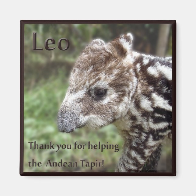 Leo the Andean Tapir Magnet (Front)