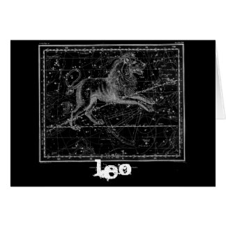 Leo, the Lion