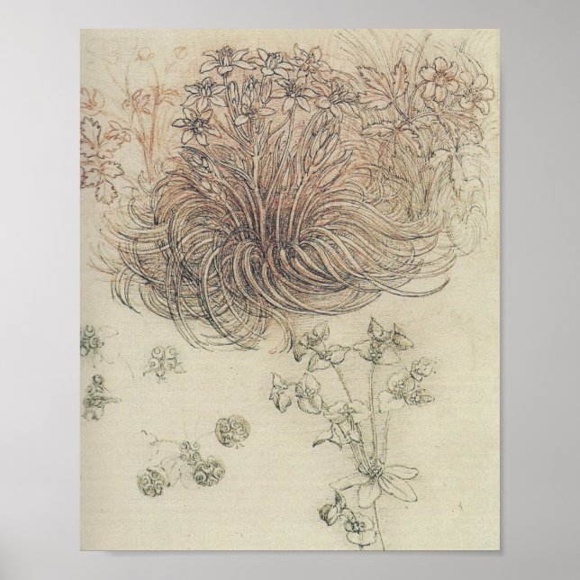 Leonardo Botanical Study Poster (Front)