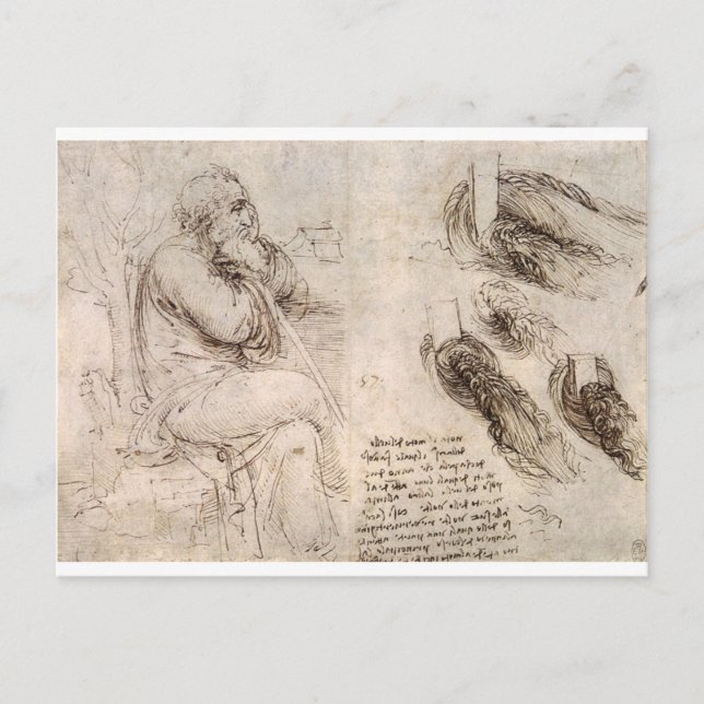 Leonardo da Vinci, possible self-portrait. Postcard (Front)