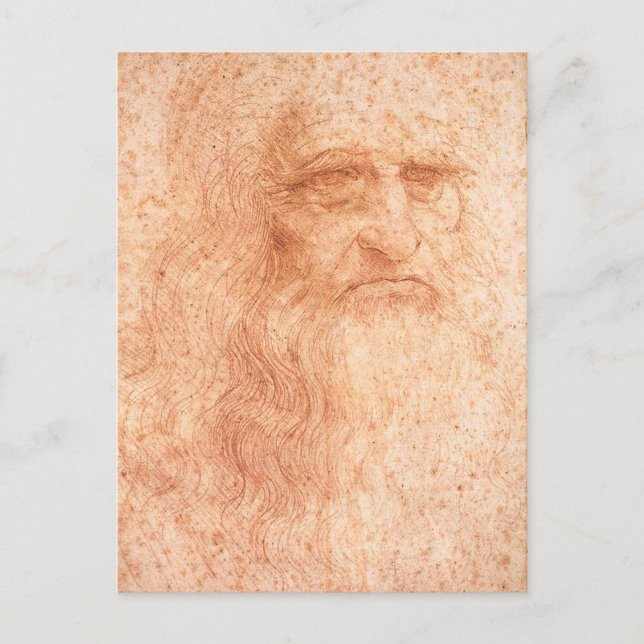 Leonardo da Vinci Self Portrait Red Chalk Postcard (Front)