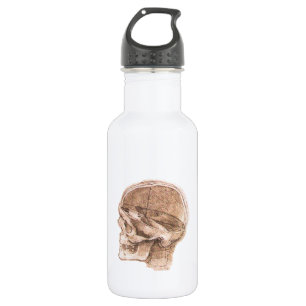Leonardo da Vinci Skull Anatomy Fine Art 532 Ml Water Bottle