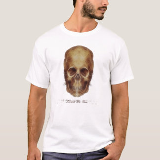Leonardo Da Vinci Skull Frac T-Shirt