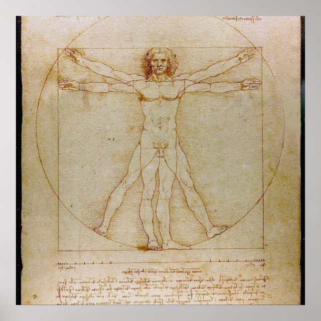 Leonardo Da Vinci, The Vitruvian Man,Renaissance Poster (Front)