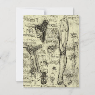 Leonardo da Vinci Vintage Human Anatomy Larynx Leg