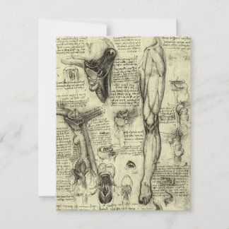 Leonardo da Vinci Vintage Human Anatomy Larynx Leg