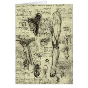 Leonardo da Vinci Vintage Human Anatomy Larynx Leg