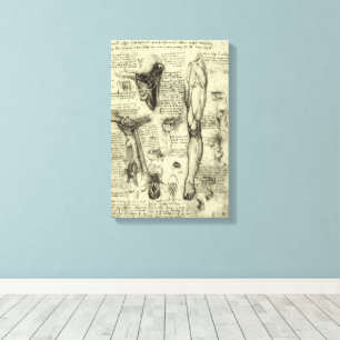 Leonardo da Vinci Vintage Human Anatomy Larynx Leg Canvas Print