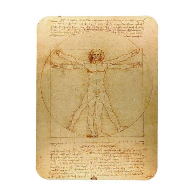 Leonardo Da Vinci, Vitruvian Man, Golden Ratio Magnet (Vertical)