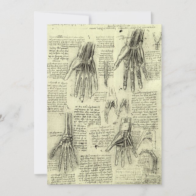 Leonardo da Vinci's Anatomy of the Human Hand (Front)