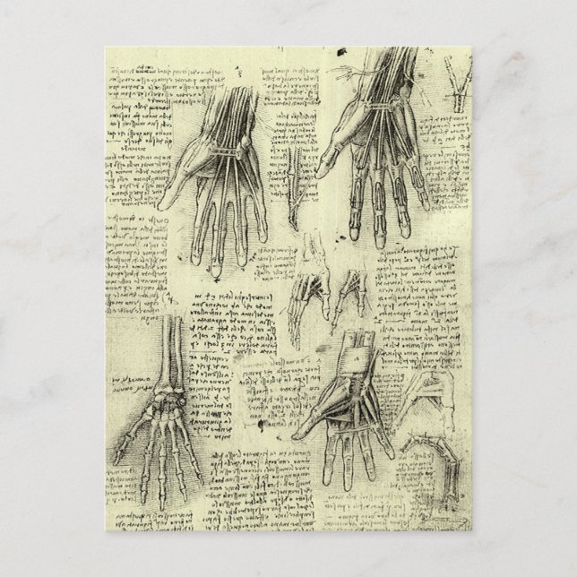 Leonardo da Vinci's Anatomy of the Human Hand Postcard (Front)