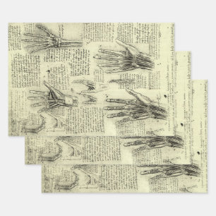 Leonardo da Vinci's Anatomy of the Human Hand Wrapping Paper Sheet