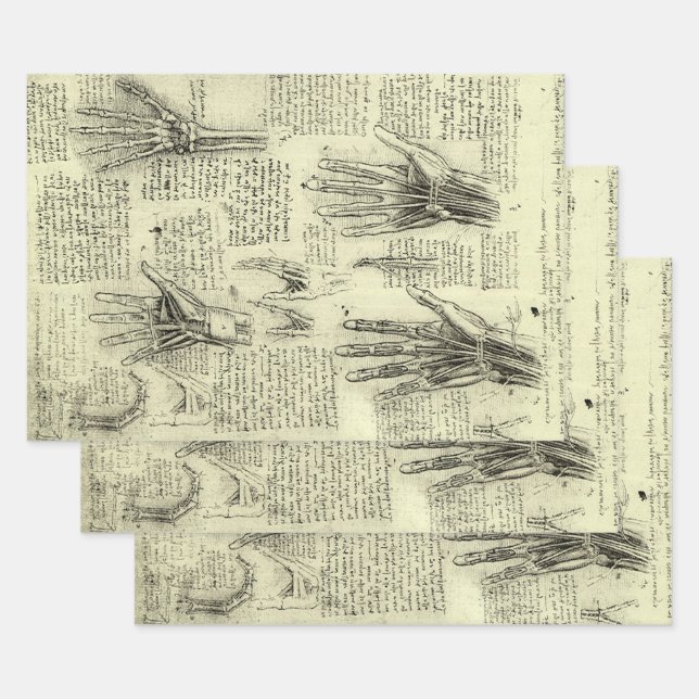 Leonardo da Vinci's Anatomy of the Human Hand Wrapping Paper Sheet (Set)