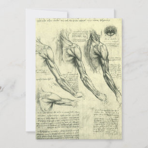 Leonardo da Vinci's Arm and Shoulder Anatomy