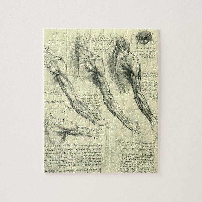 Leonardo da Vinci's Arm and Shoulder Anatomy Jigsaw Puzzle (Vertical)