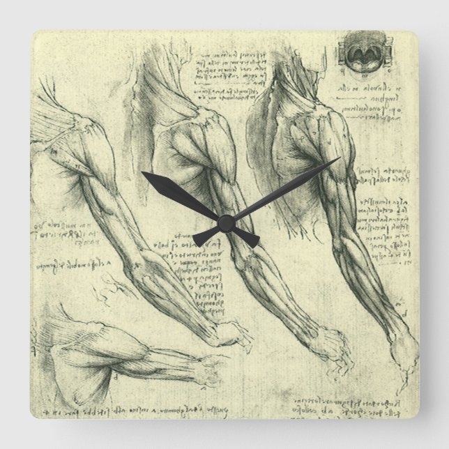Leonardo da Vinci's Arm and Shoulder Anatomy Square Wall Clock (Front)