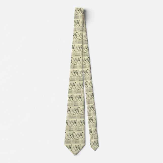 Leonardo da Vinci's Arm and Shoulder Anatomy Tie (Front)