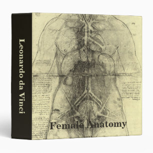 Leonardo da Vinci's Human Anatomy, Female Torso Binder