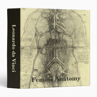 Leonardo da Vinci's Human Anatomy, Female Torso Binder
