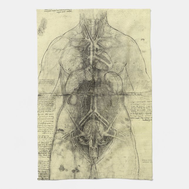 Leonardo da Vinci's Human Anatomy, Female Torso Kitchen Towel (Vertical)