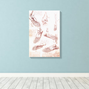 Leonardo da Vinci's Human Anatomy Foot Bones Canvas Print