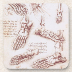 Leonardo da Vinci's Human Anatomy Foot Bones Coaster